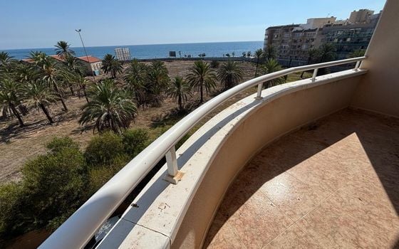 2 bedroom Apartment in Torrevieja - AG151594 - Photo - Small - 17