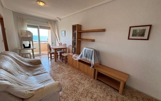 2 bedroom Apartment in Torrevieja - AG151594 - Photo - 3