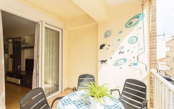 Appartement de 3 chambres à Torrevieja - AG151620 - Photo - Small - 14