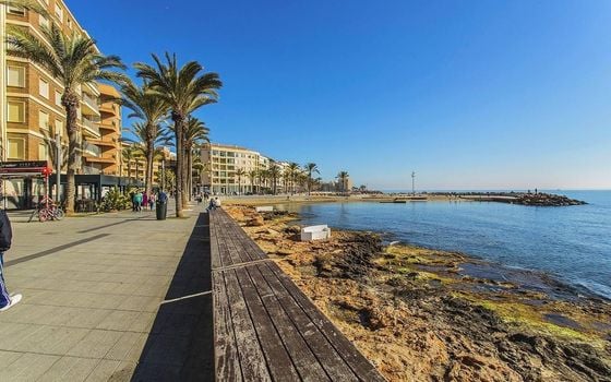Appartement de 3 chambres à Torrevieja - AG151620 - Photo - Small - 17