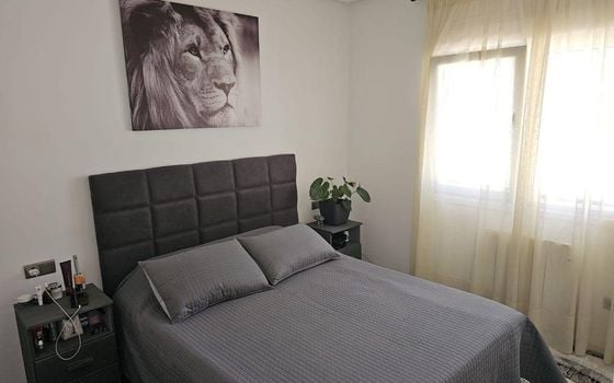3 bedroom Villa in Benijófar - AG151621 - Photo - Small - 13