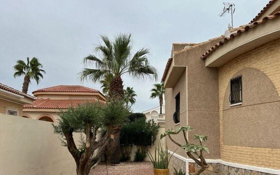 3 bedroom Villa in Benijófar - AG151621 - Photo - Small - 21