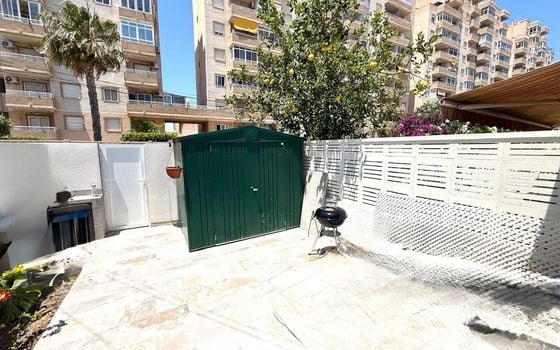 Bungalow de 3 chambres à Torrevieja - AG151625 - Photo - Small - 11