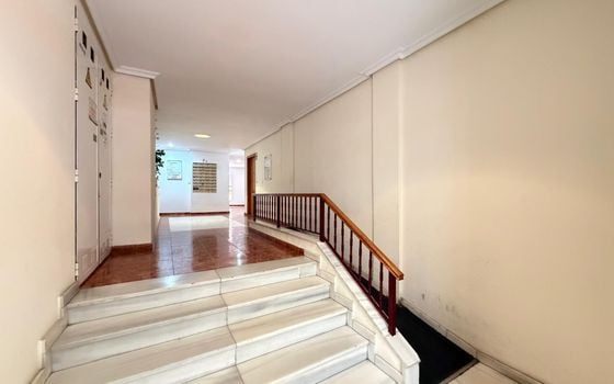 Appartement de 1 chambre à Torrevieja - AG151627 - Photo - Small - 24