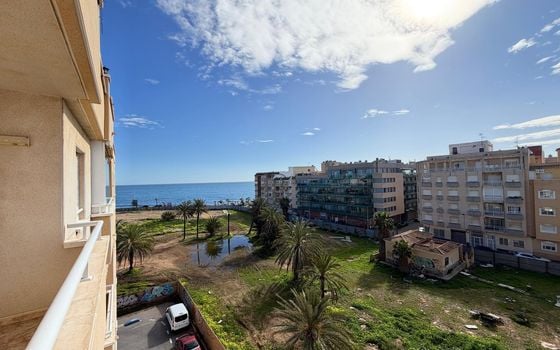 Appartement de 2 chambres à Torrevieja - AG151630 - Photo - Small - 23