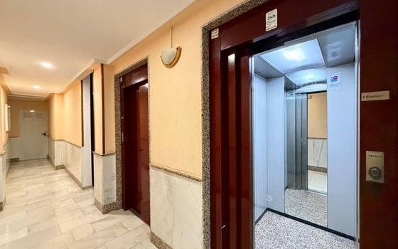 Appartement de 2 chambres à Torrevieja - AG151630 - Photo - Small - 24
