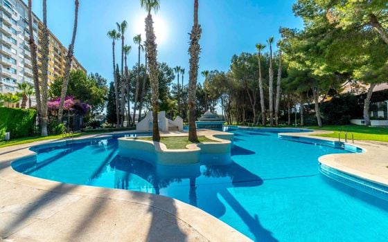 2 bedroom Apartment in Dehesa de Campoamor - AG151632 - Photo - 1