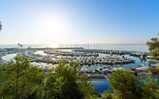 Apartmán   v Dehesa de Campoamor, 2 ložnice - AG151632 - Foto - Small - 53