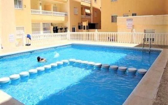 Appartement de 1 chambre à Torrevieja - AG151655 - Photo - Small - 11
