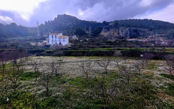 7 bedroom Villa in Guadalest - AG151671 - Photo - Small - 43