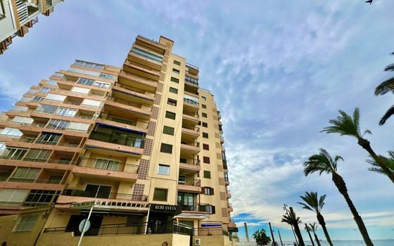 3 bedroom Apartment in Torrevieja - AG151683 - Photo - 3
