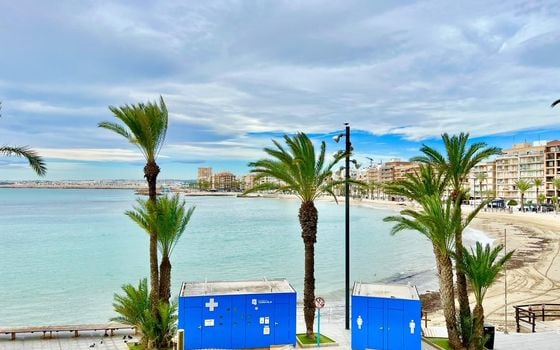 Apartman Torrevieja, 3 hálószoba - AG151683 - Fénykép - Small - 33
