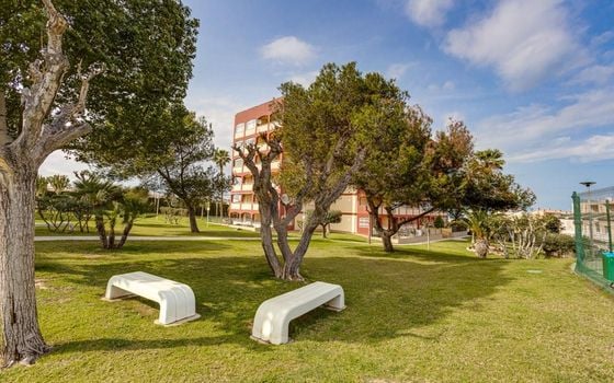 Appartement de 2 chambres à Torrevieja - AG151695 - Photo - 3