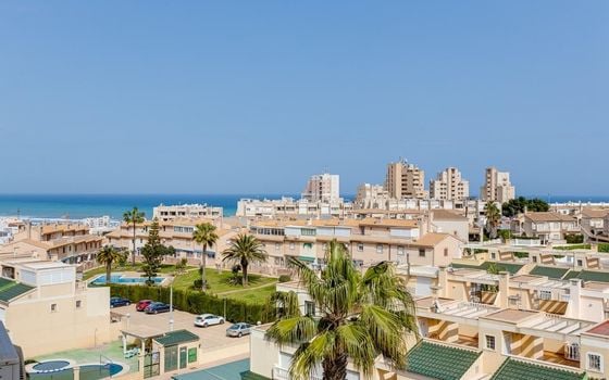 Appartement de 2 chambres à Torrevieja - AG151695 - Photo - Small - 25