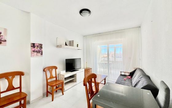 1 bedroom Penthouse in Torrevieja - AG151697 - Photo - 2