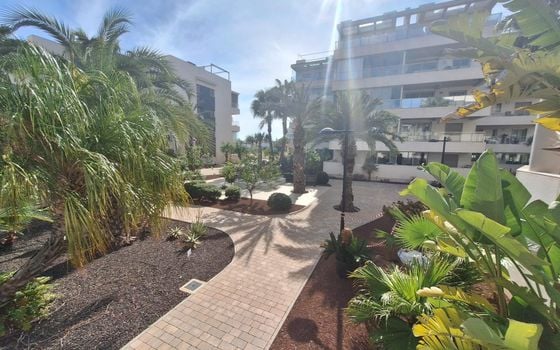 2 bedroom Apartment in Orihuela Costa - AG151699 - Photo - Small - 31