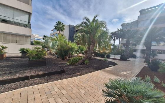 2 bedroom Apartment in Orihuela Costa - AG151699 - Photo - Small - 32