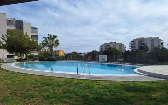 2 bedroom Apartment in Orihuela Costa - AG151699 - Photo - Small - 23