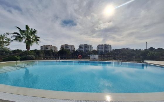 2 bedroom Apartment in Orihuela Costa - AG151699 - Photo - Small - 25