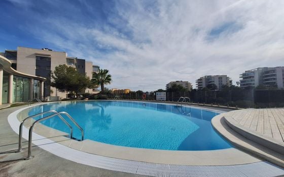 2 bedroom Apartment in Orihuela Costa - AG151699 - Photo - Small - 24