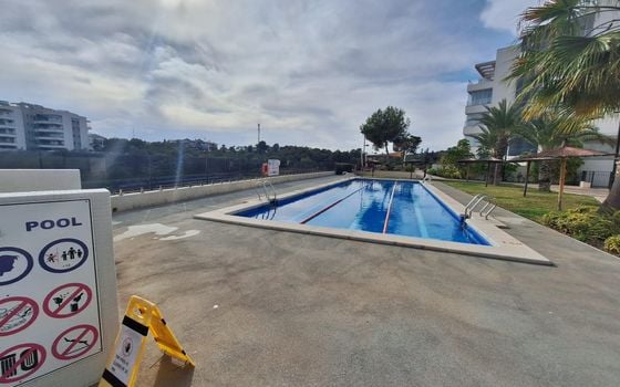 2 bedroom Apartment in Orihuela Costa - AG151699 - Photo - Small - 26