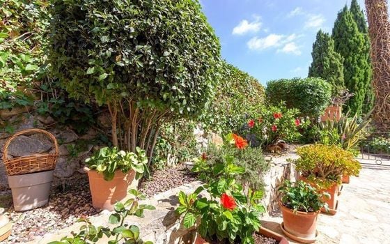 Villa de 4 chambres à Finestrat - AG151714 - Photo - Small - 33