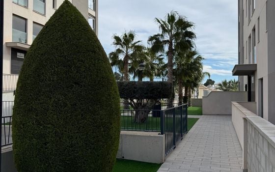 2 bedroom Apartment in Orihuela Costa - AG151725 - Photo - Small - 21