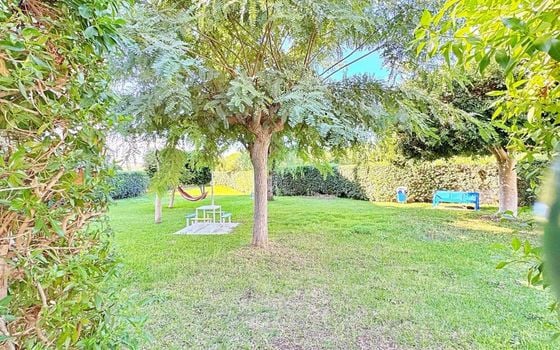 Appartement de 1 chambre à La Mata - AG151729 - Photo - Small - 22