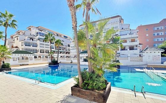 Appartement de 1 chambre à La Mata - AG151729 - Photo - Small - 24