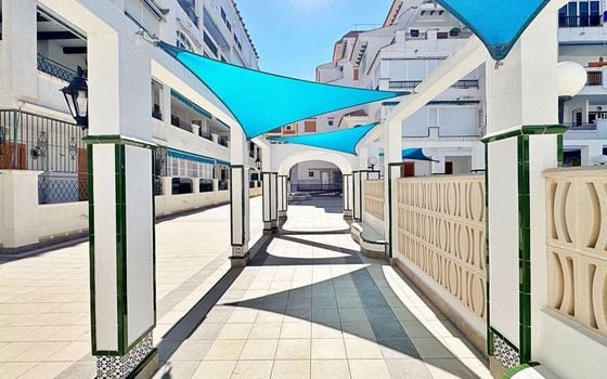 Appartement de 1 chambre à La Mata - AG151729 - Photo - Small - 18