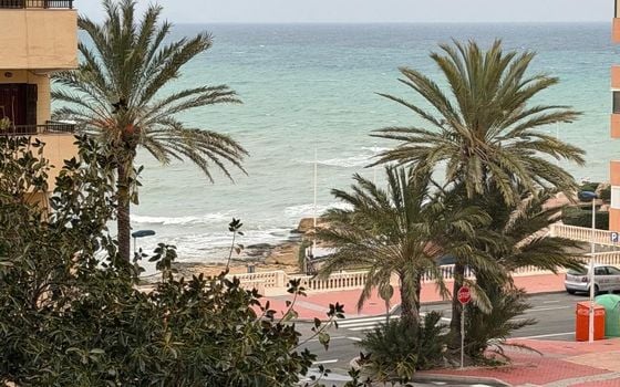 Appartement de 1 chambre à Torrevieja - AG151738 - Photo - Small - 16