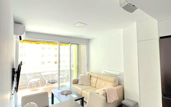 2 bedroom Apartment in Torrevieja - AG151818 - Photo - 3