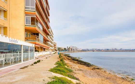 Appartement de 2 chambres à Torrevieja - AG151828 - Photo - 3