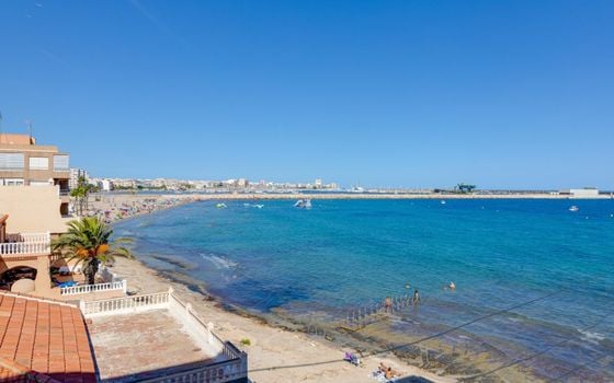 Appartement de 2 chambres à Torrevieja - AG151828 - Photo - Small - 30