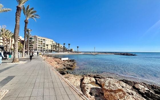 Apartamento de 4 habitaciones en Torrevieja - AG151836 - Foto - Small - 25