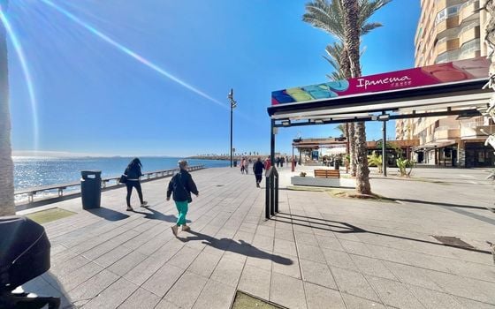 Apartamento de 4 habitaciones en Torrevieja - AG151836 - Foto - Small - 24