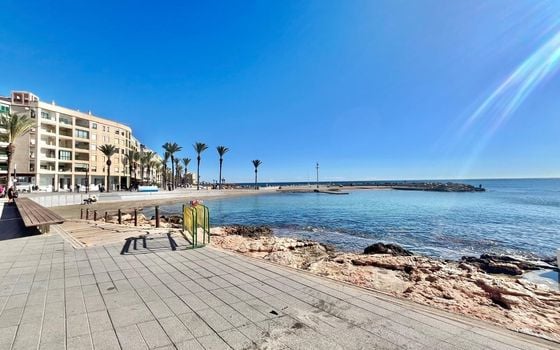 Apartamento de 4 habitaciones en Torrevieja - AG151836 - Foto - Small - 26