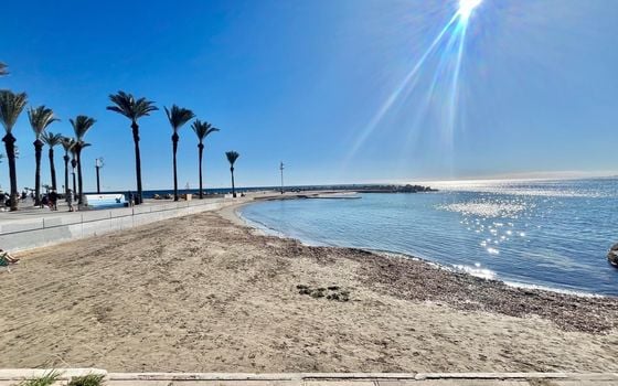 Apartamento de 4 habitaciones en Torrevieja - AG151836 - Foto - Small - 27