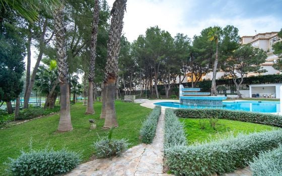 3 bedroom Penthouse in Dehesa de Campoamor - AG151880 - Photo - Small - 27