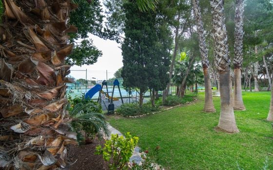 3 bedroom Penthouse in Dehesa de Campoamor - AG151880 - Photo - Small - 28