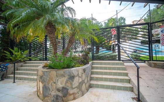 3 bedroom Penthouse in Dehesa de Campoamor - AG151880 - Photo - Small - 29
