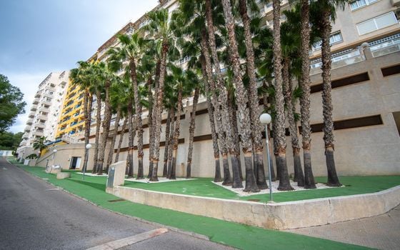 3 bedroom Penthouse in Dehesa de Campoamor - AG151880 - Photo - Small - 30
