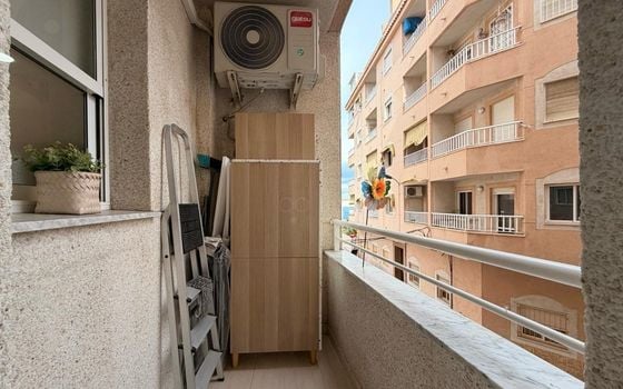 Appartement de 3 chambres à Torrevieja - AG151921 - Photo - Small - 23