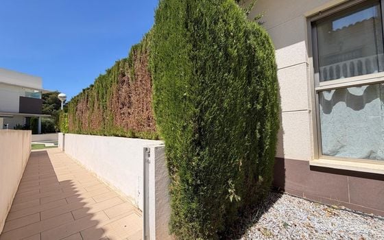 4 bedroom Villa in Ciudad Quesada - AG151957 - Photo - Small - 73