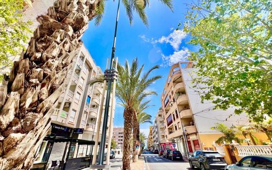 2 bedroom Apartment in Torrevieja - AG151985 - Photo - Small - 22