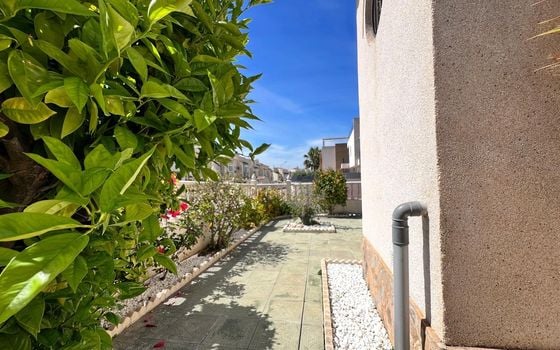 Вилла в Торревьехе, 3 спальни - AG152078 - Фото - Small - 30
