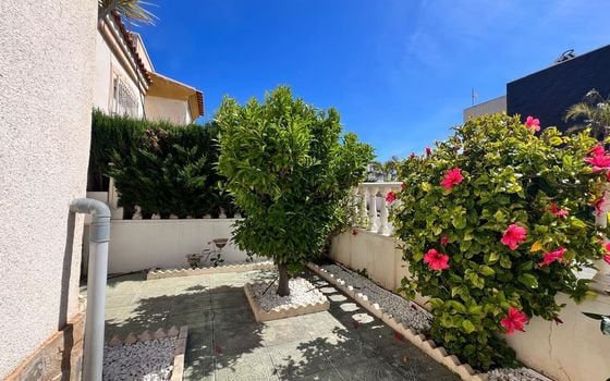 Вилла в Торревьехе, 3 спальни - AG152078 - Фото - Small - 29