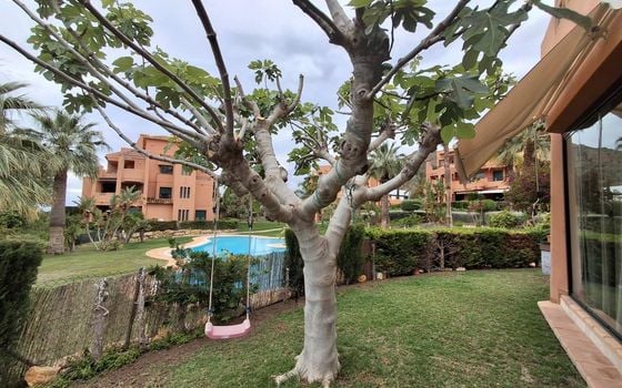 2 bedroom Apartment in Finestrat - AG152086 - Photo - Small - 16