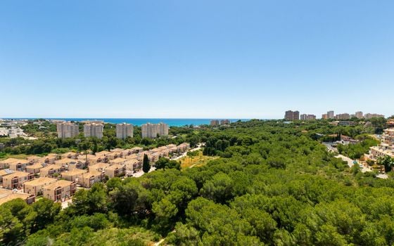 Appartement de 2 chambres à Orihuela Costa - AG152098 - Photo - Small - 29
