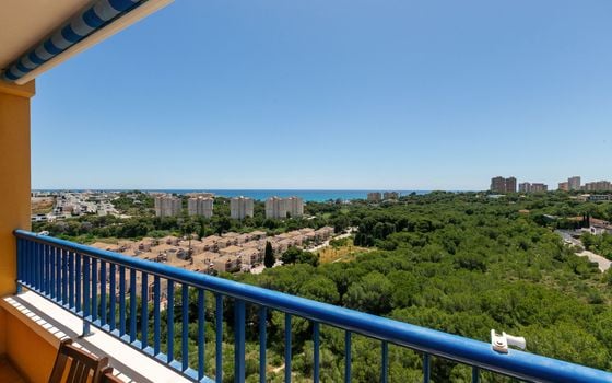 Appartement de 2 chambres à Orihuela Costa - AG152098 - Photo - Small - 28
